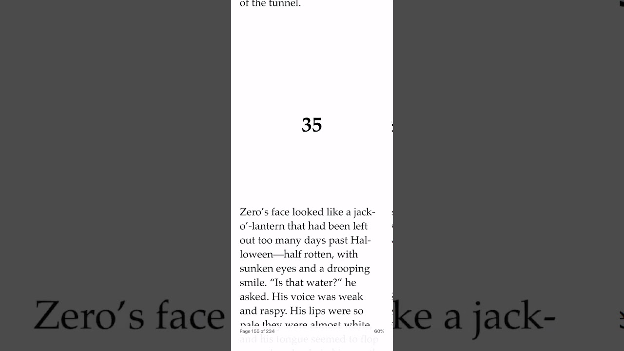 Holes Chapters 35-36