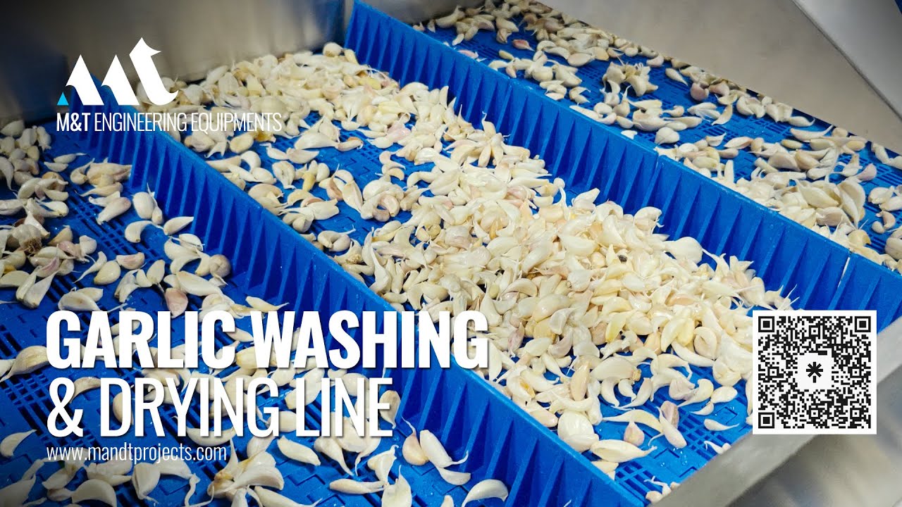 Garlic processing line, Garlic Frozen processing Line, garlic Dehydration Processing Line.