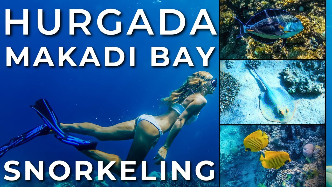 Makadi Bay - Hurgada - Snorkeling - Rafa koralowa i jej fantastyczni mieszkańcy