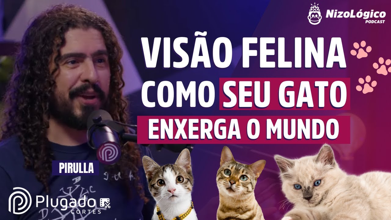 AULA SOBRE GATOS: MITOS E VERDADES - PIRULLA