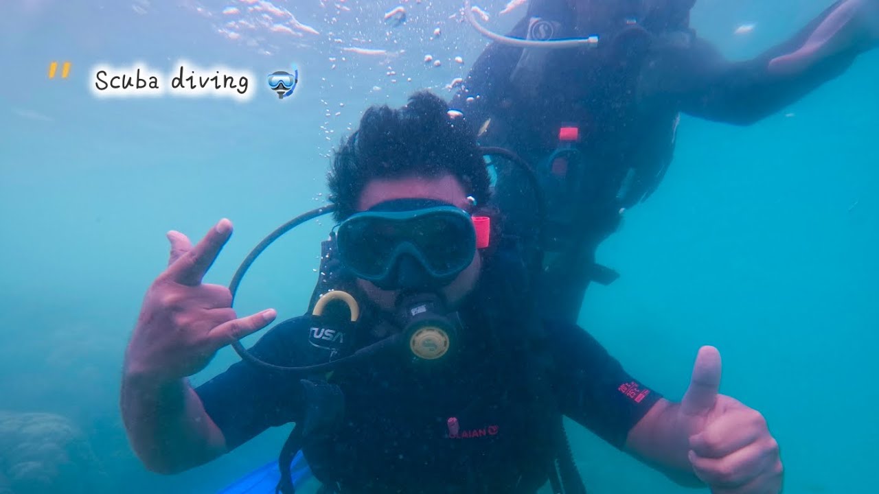First Scuba diving Experience 🤿//Havelock island//Andaman #shorts #scuba #ocean #first #december 