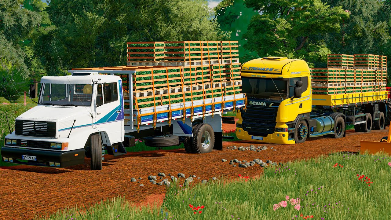 Carregando melancia na roça | Farming simulator 22 | Vida de caminhoneiro