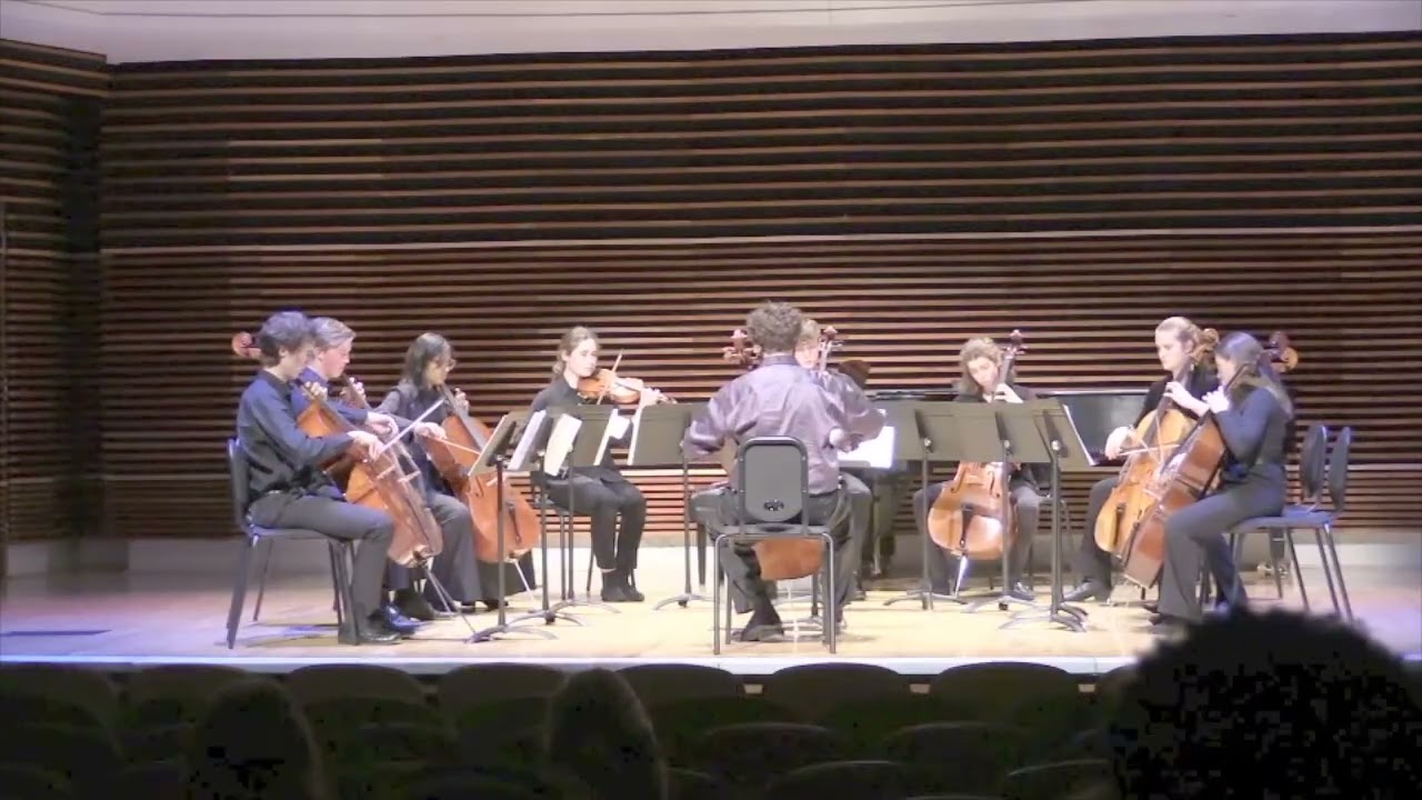 Concerto for 2 Violins in D minor, BWV 1043 J.S. Bach arr for Cello Trio