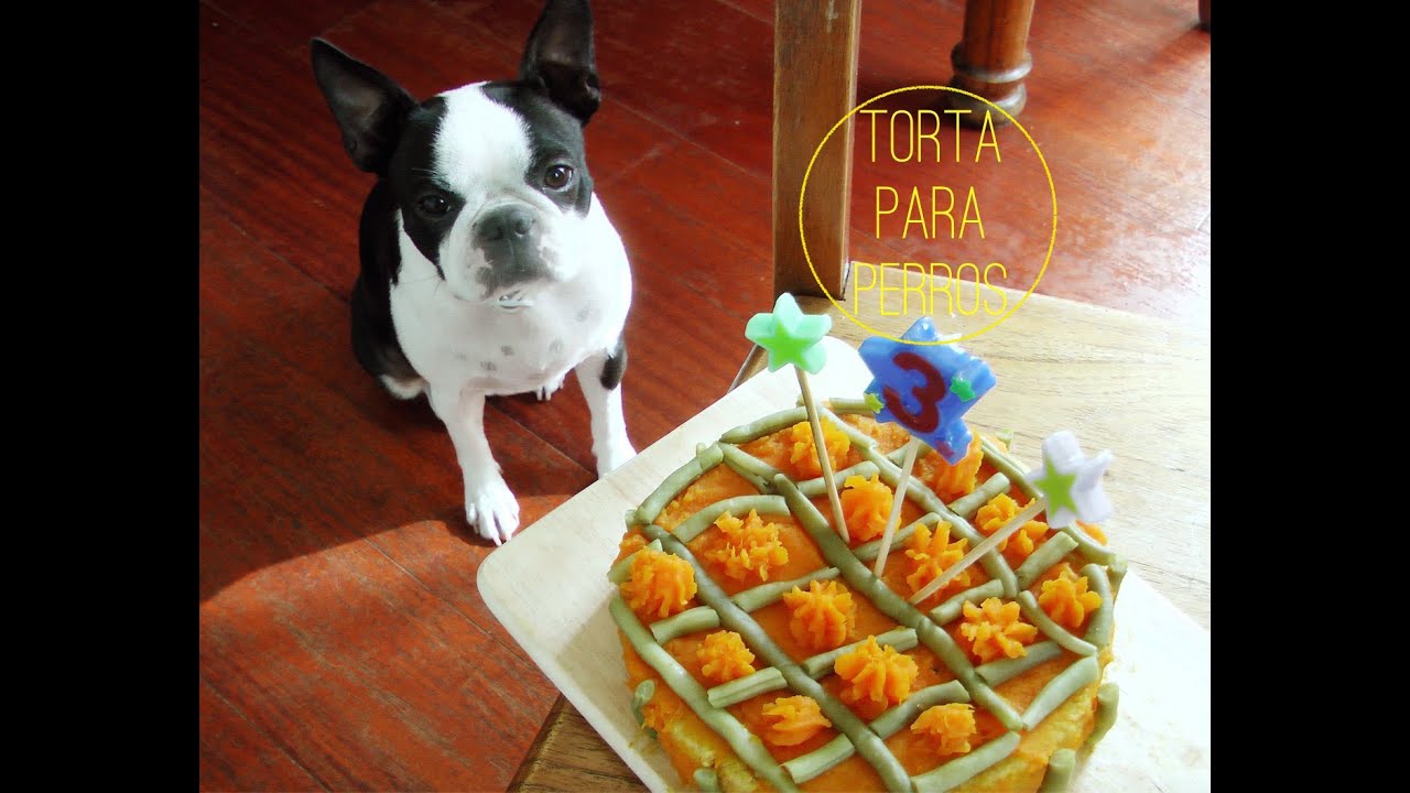 Cómo hice torta de cumpleaños para mi perro, deliciosa. Pastel para mis perros. Birthday cake dog