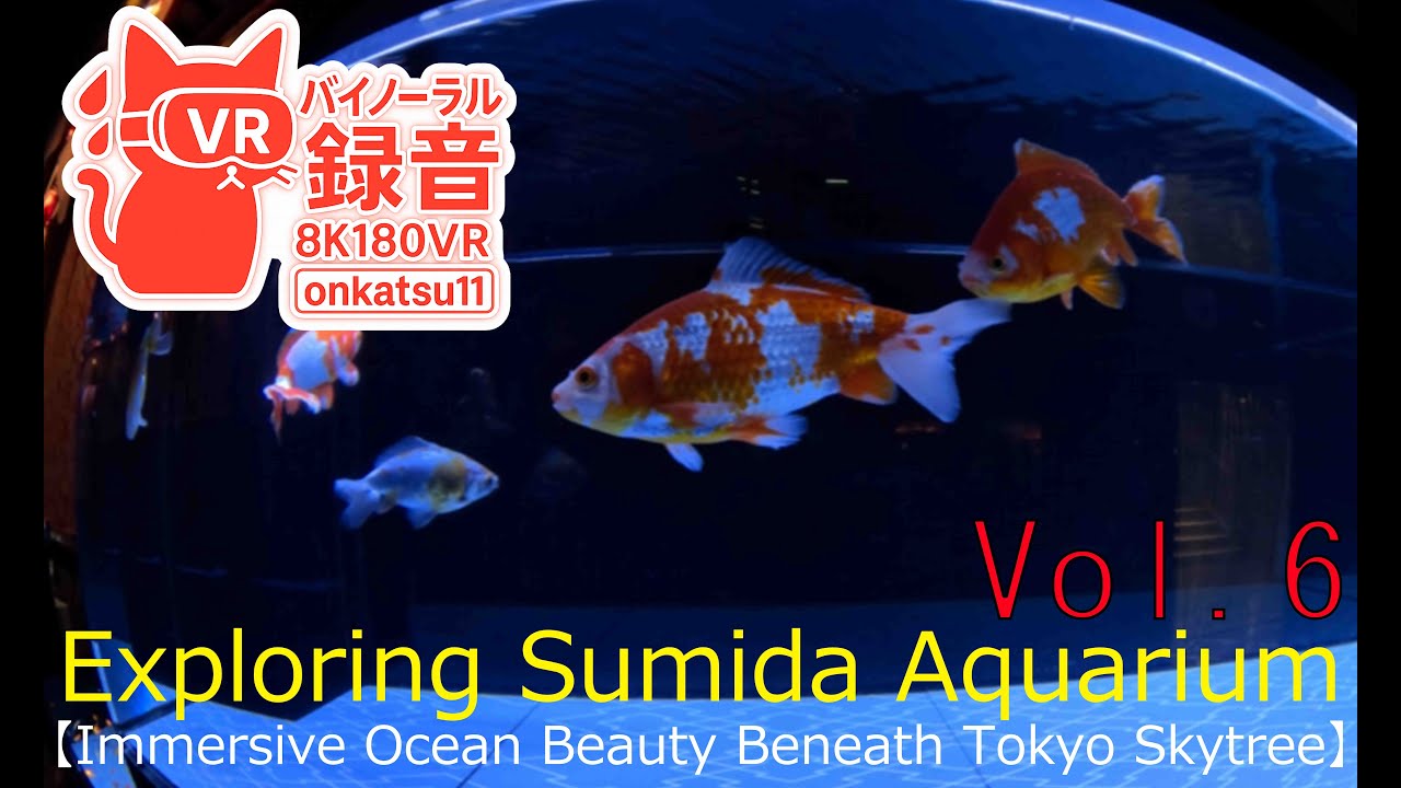 🐠 [Exploring Sumida Aquarium — Immersive Ocean Beauty Beneath Tokyo Skytree] Chapter Six‼