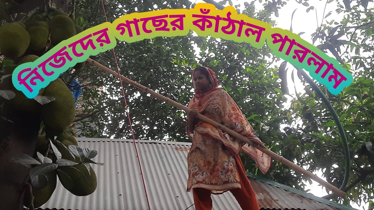 কিভাবে জামাই শ্বশুর বাড়ির কাঁঠাল গাছে উঠলো/🤣😄😳#family #familyvlog #কঁঠাল #myfirstvlog #block #my