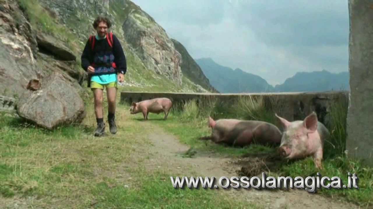 Rifugio Margaroli (agosto 2011)