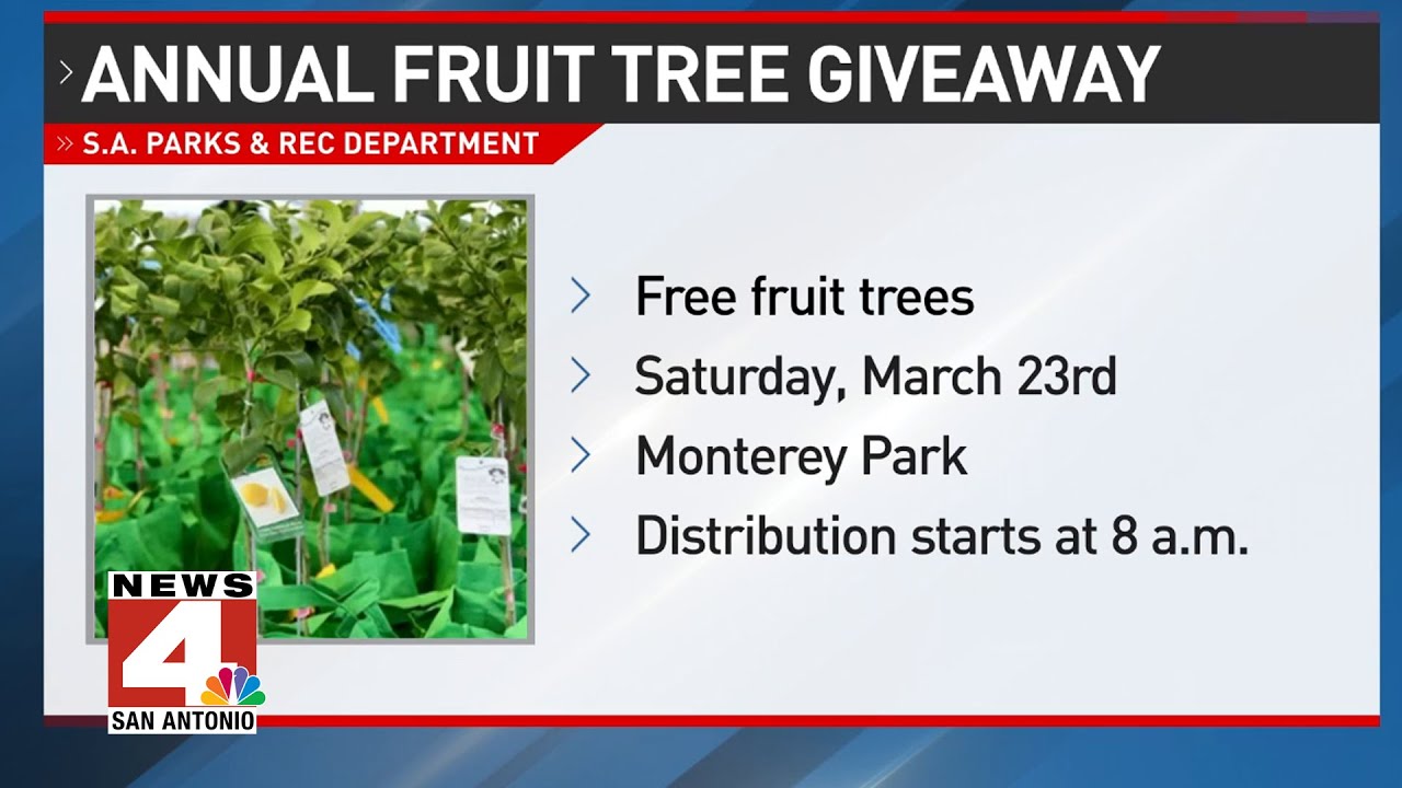 1,000 free fruit trees for city residents