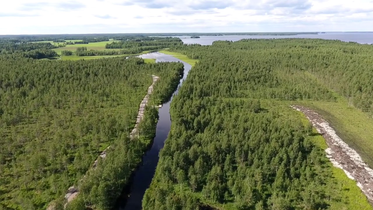 Önkkörin kanava