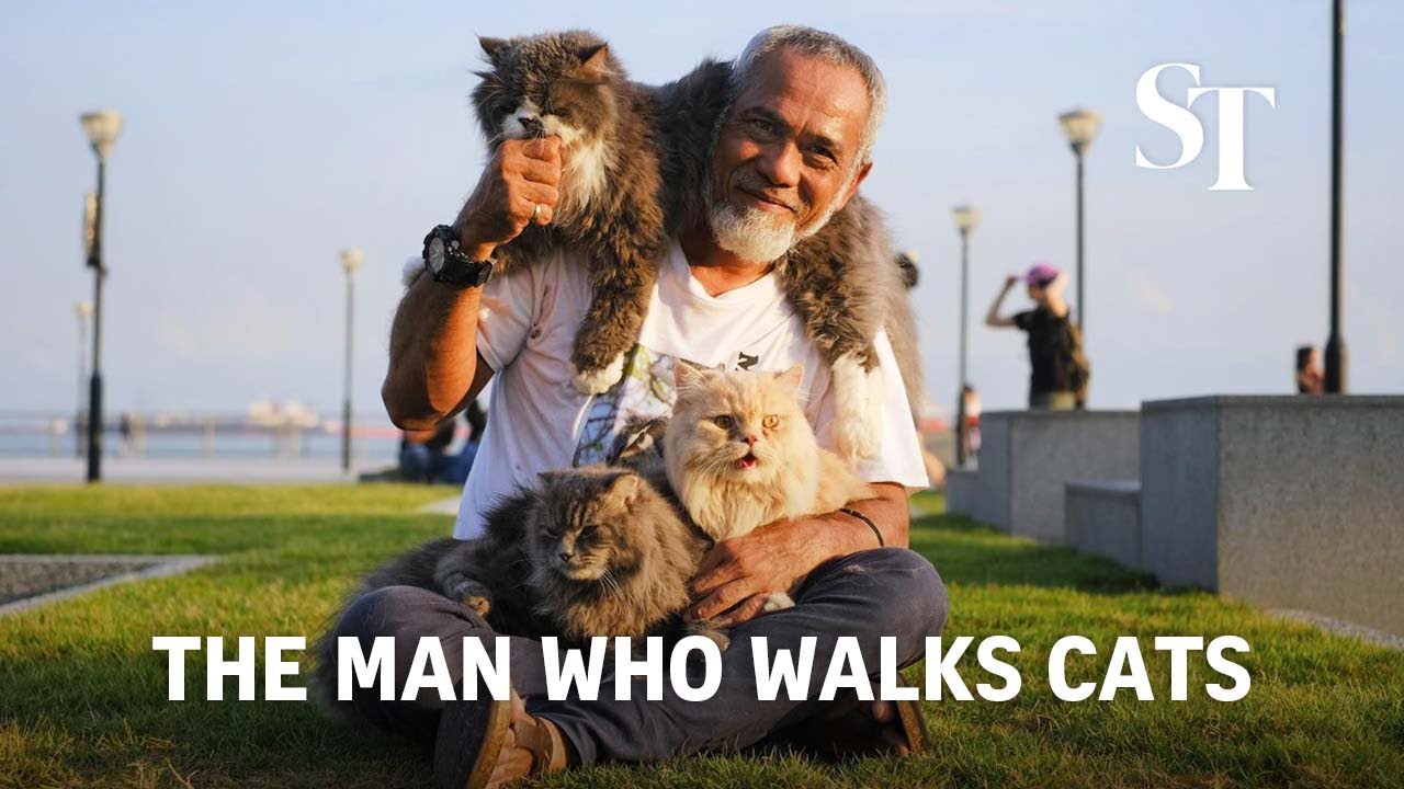 The man who walks cats in East Coast Park