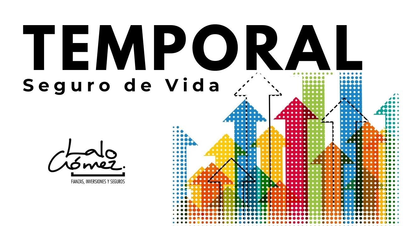 Seguro de vida temporal