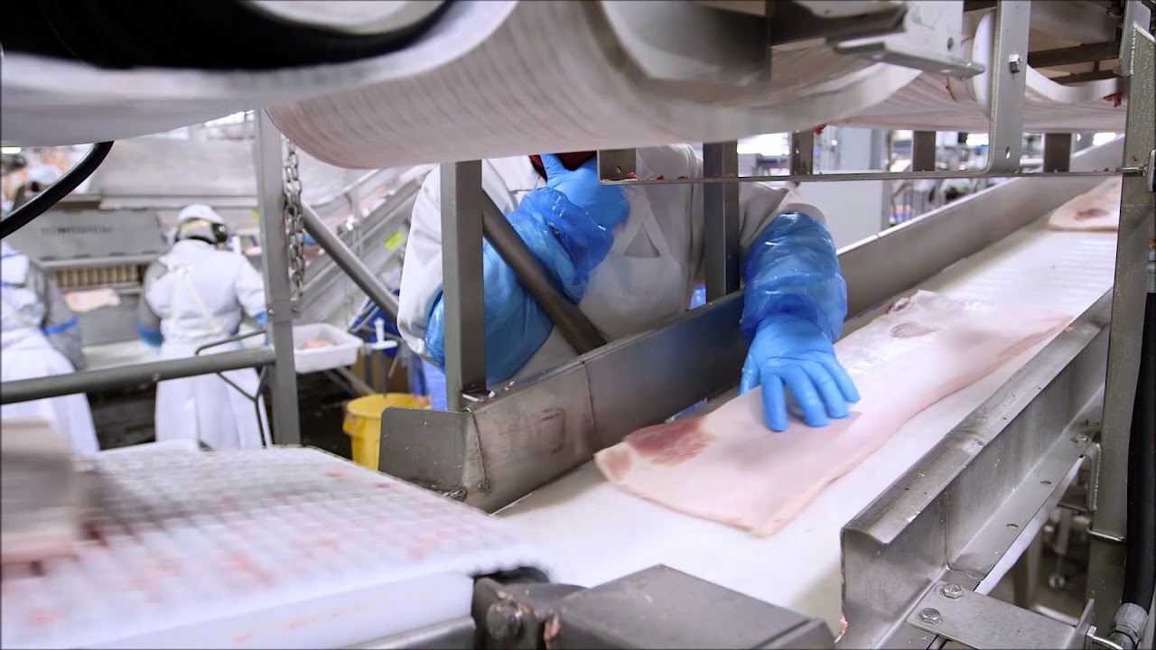Frontmatec Pork Solutions | Canadian Loin Puller