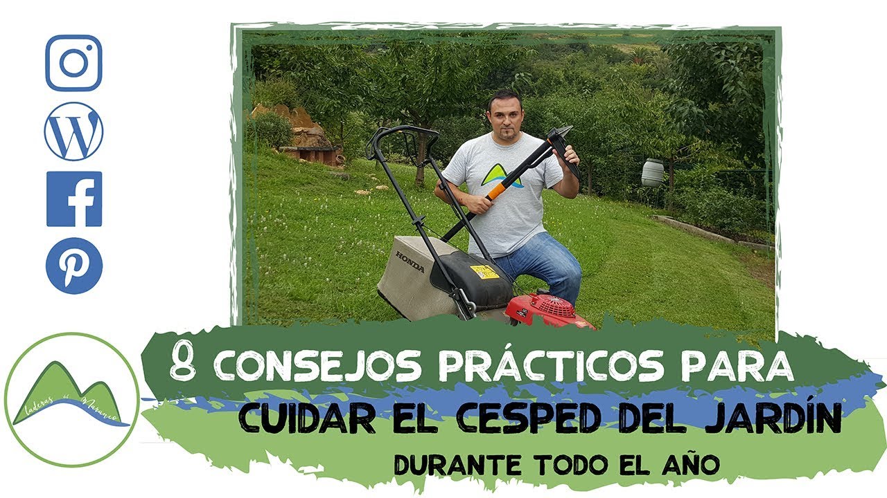8 consejos prácticos para cuidar el césped de tu jardín durante todo el año | LdN