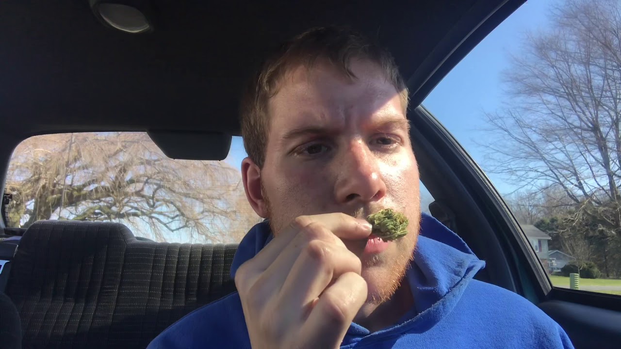 CBD Electra Review Part 1