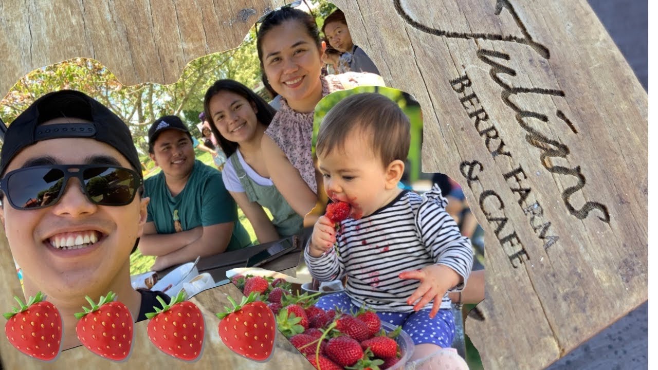 The Best Place to Pick Strawberries in New Zealand | Julians Berry Farm #DiscoverNZ