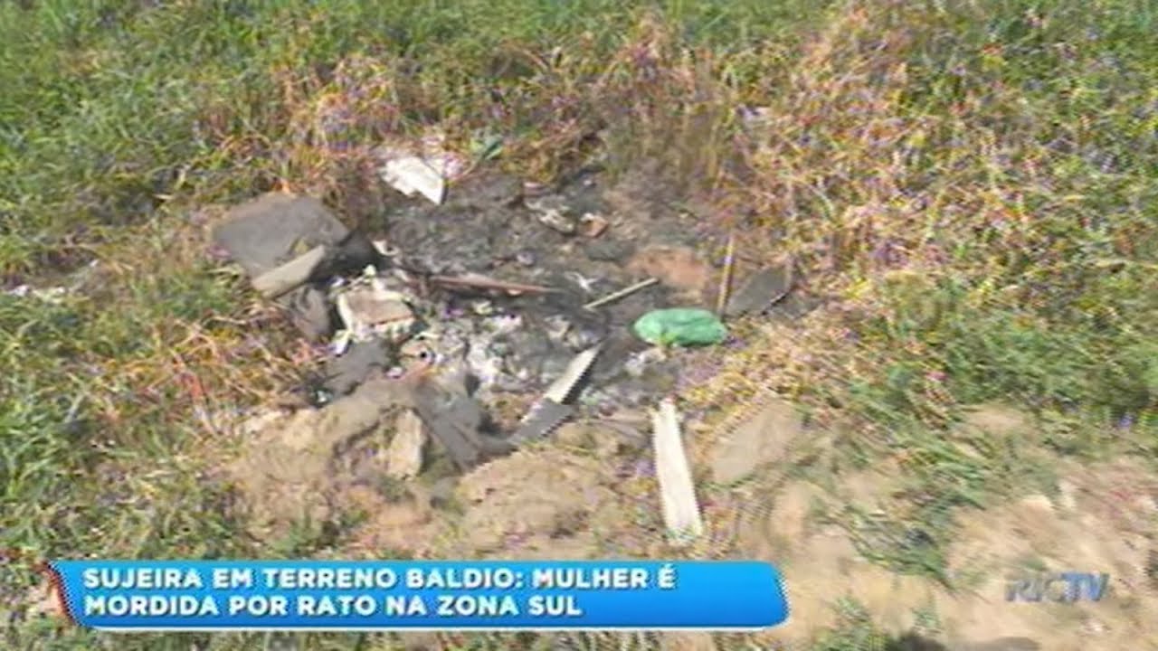 Mulher é mordida por rato em terreno baldio na Zona Sul de Joinville