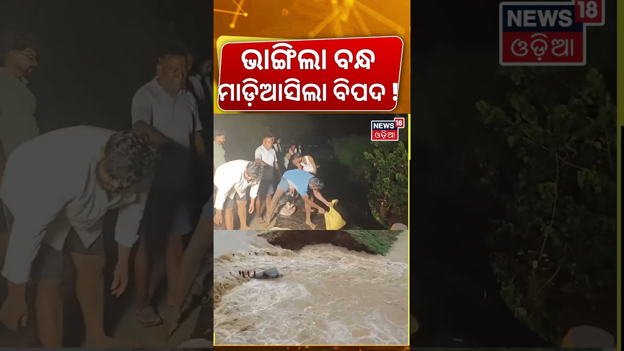ମାଡ଼ିଆସିଲା ବିପଦ ! Jajpur Baitarani River Embankment Collapses | 100-Foot Breach Near Dasharathpur