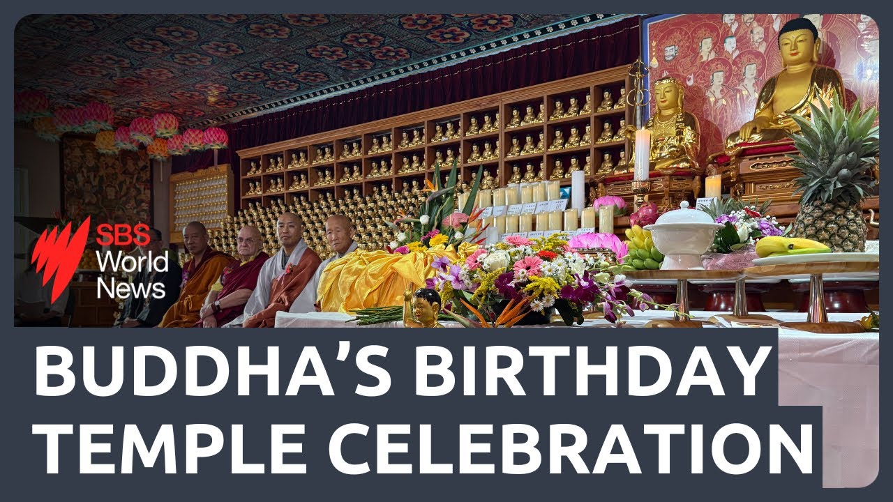 Korean temple in Sydney marks Buddha's Birthday with celebrations and lotus lantern festival
