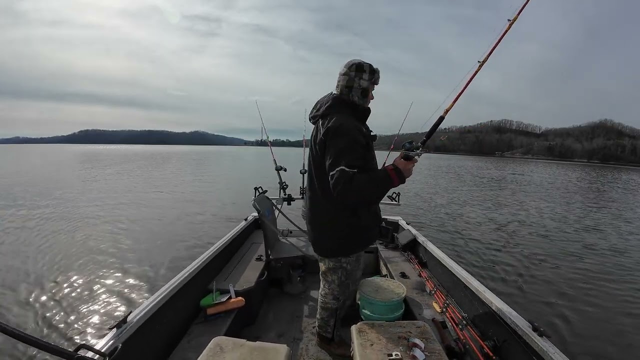 Catching Watts Bar Size Fish In Watts Bar Reservoir