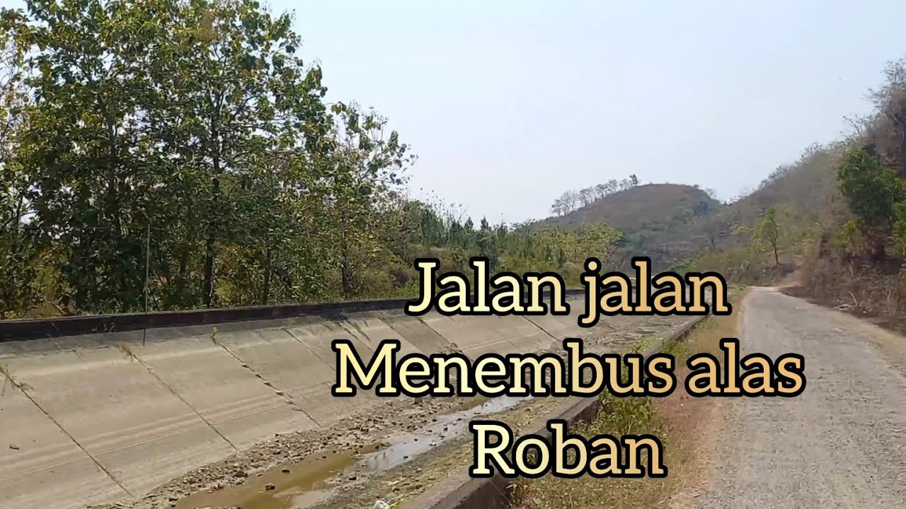 Jalan jalan menembus Alas Roban @ummi