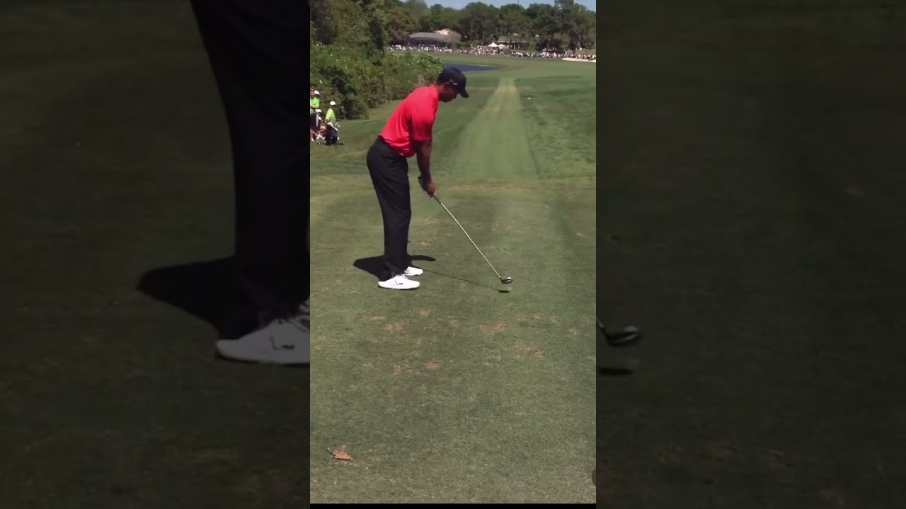 Tiger woods stinger with 3 wood #golfswing #tigerwoods #pgatour