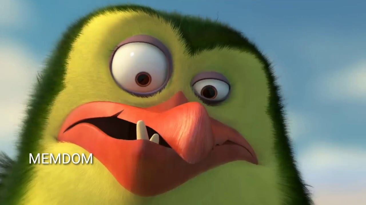 PINGUINII DIN MOLDOVA 10 (sfârșitul sezonului) | MEMDOM  #pinguinii #memdom
