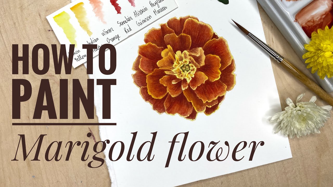 How to paint Marigold with watercolors | Step-by-Step | watercolor painting