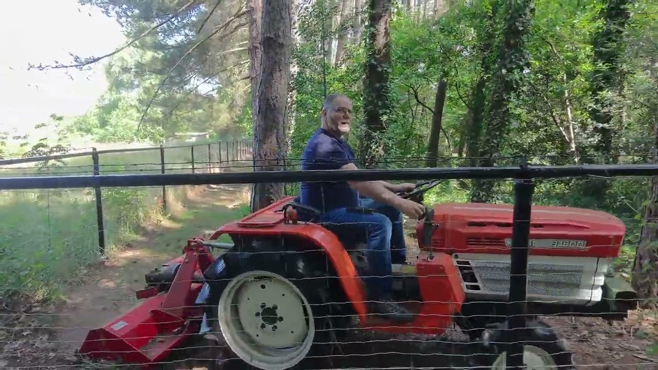 Impressie van ons bos in Winkelomheide