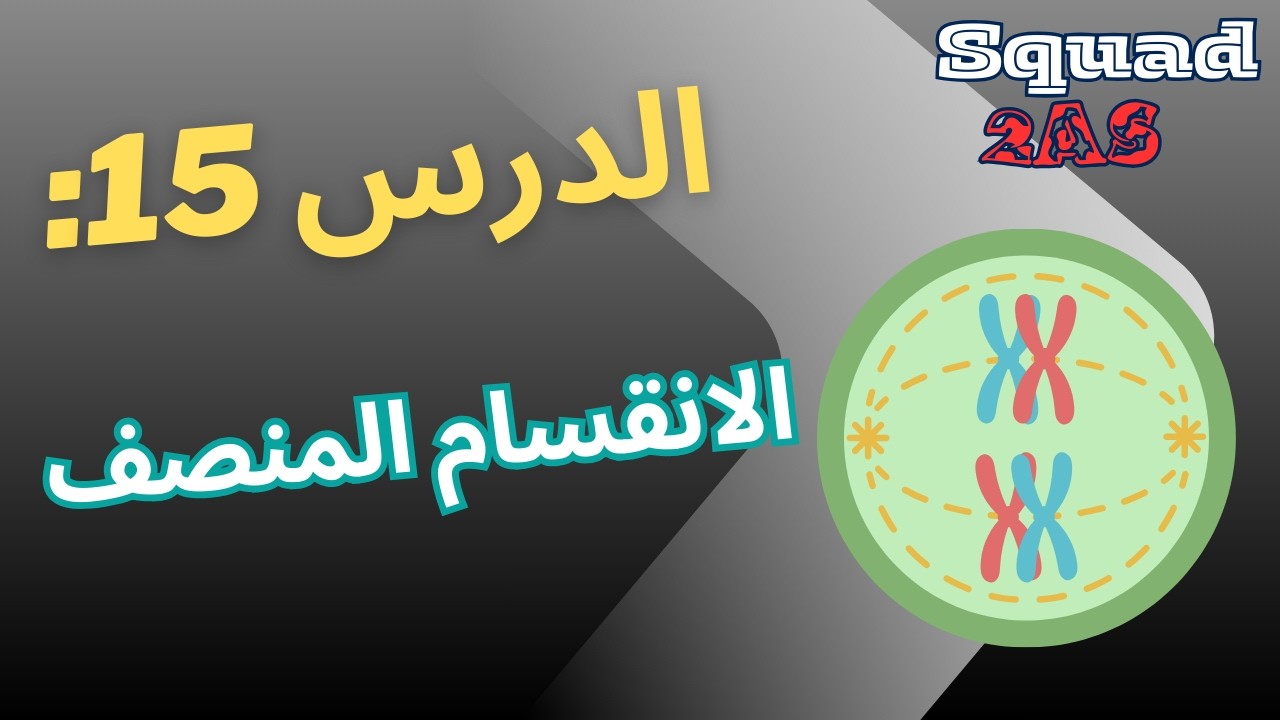 🧬 افهم الانقسام المنصف في7 دقائق فقط!