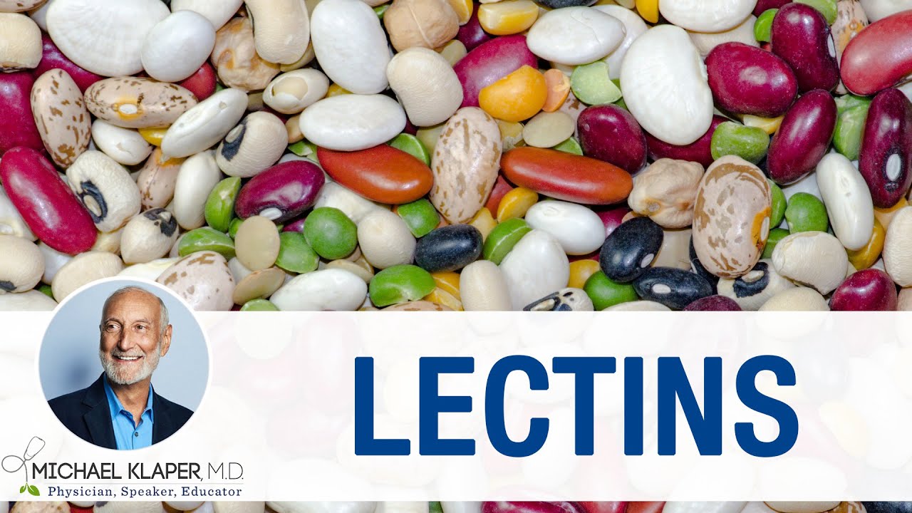 Lectins - Should you be concerned?