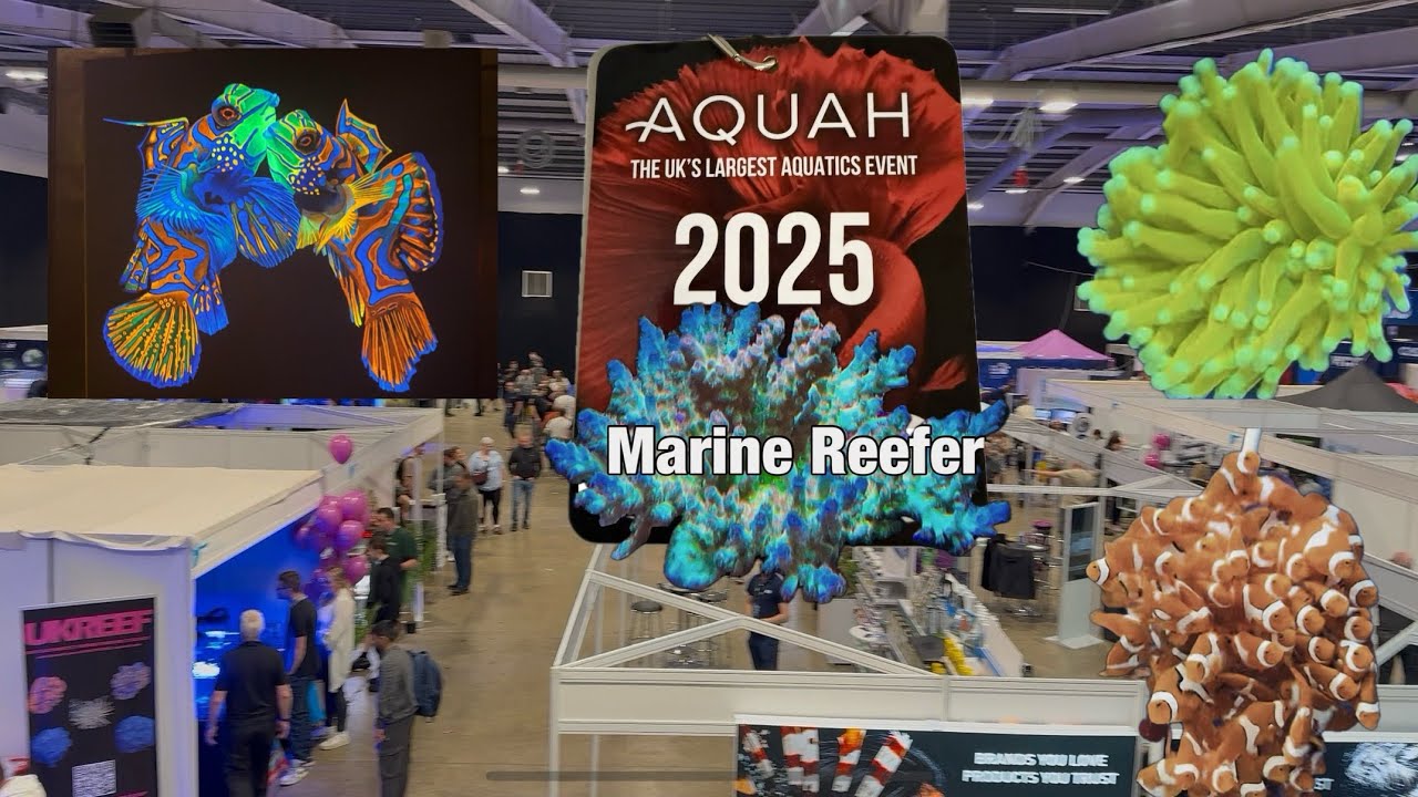 AQUAH 2025, крупнейшее водное мероприятие в Великобритании