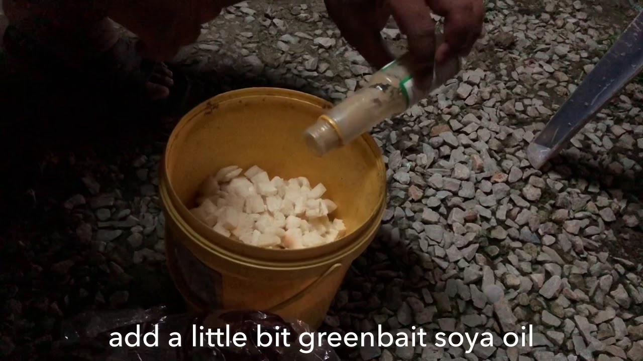 Umpan roti dadu + pelampung