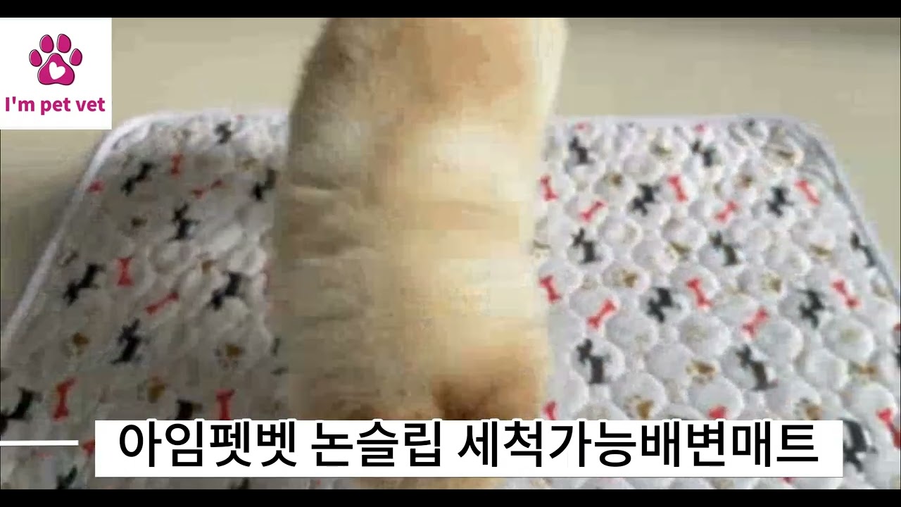 아임펫벳 세척가능배변매트 방수 펫 강아지배변패드 #배변패드#배변매트#강아지논슬립매트