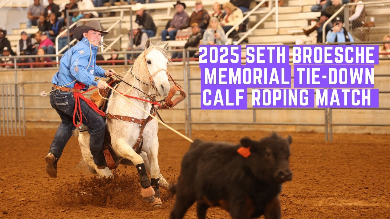 Blane Cox vs Riley Webb | 2025 Seth Broesche Memorial Match Calf Roping