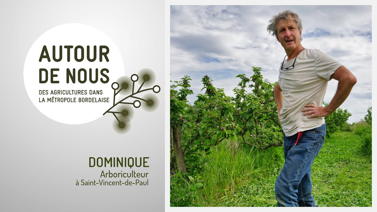 Épisode 2 - Dominique - Arboriculteur Bio à Saint-Vincent-de-Paul
