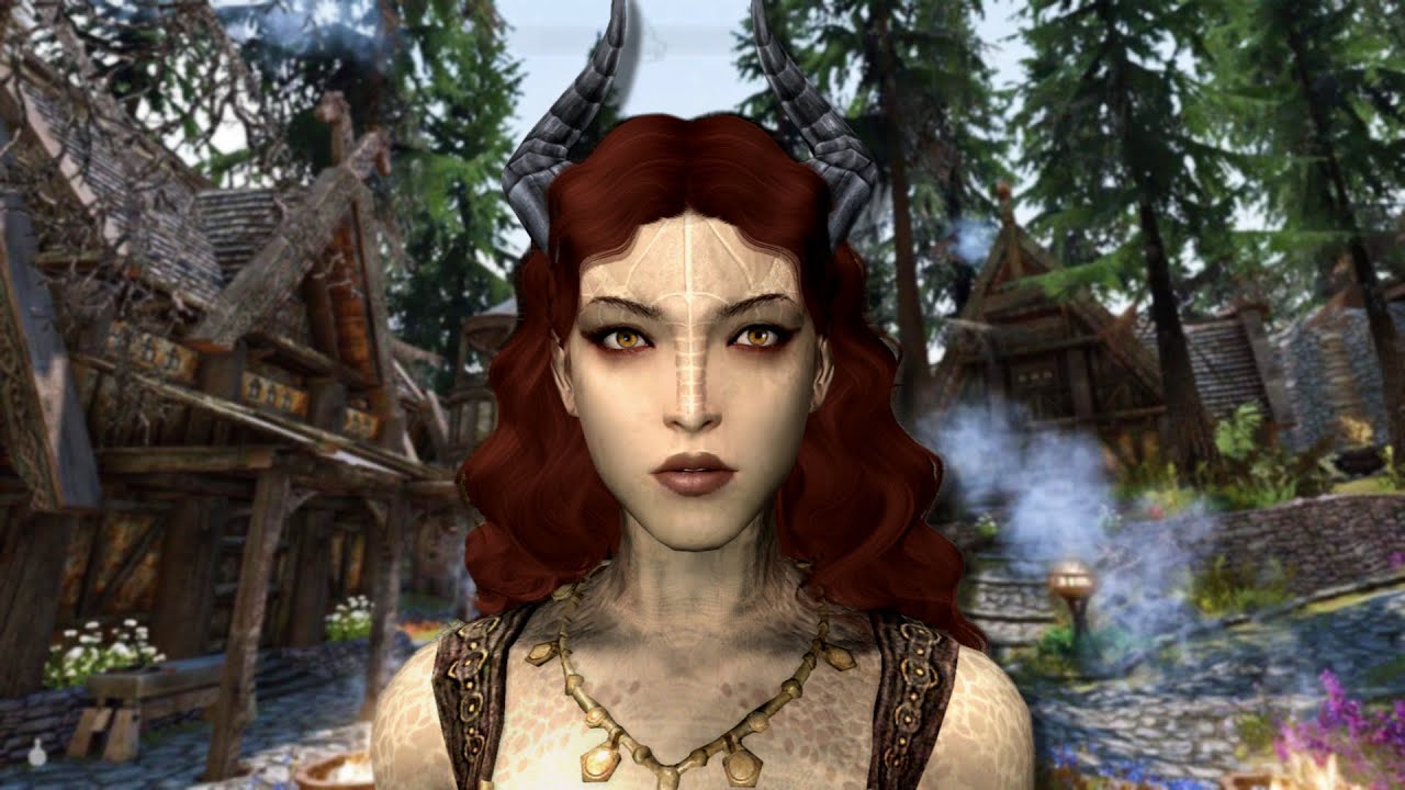 Я установил 300 модов в Skyrim