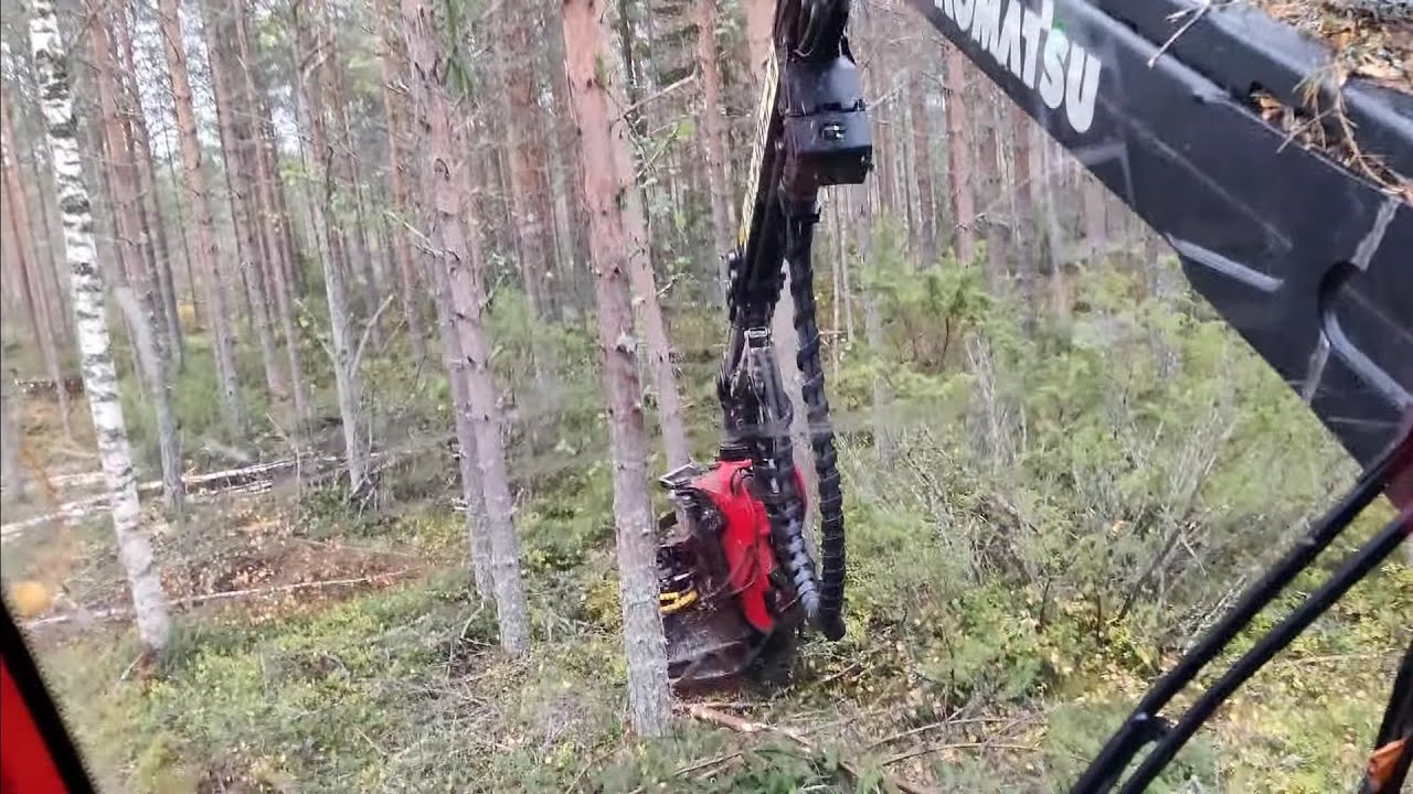 Loistavaa harvennusta II komatsu 901 c93