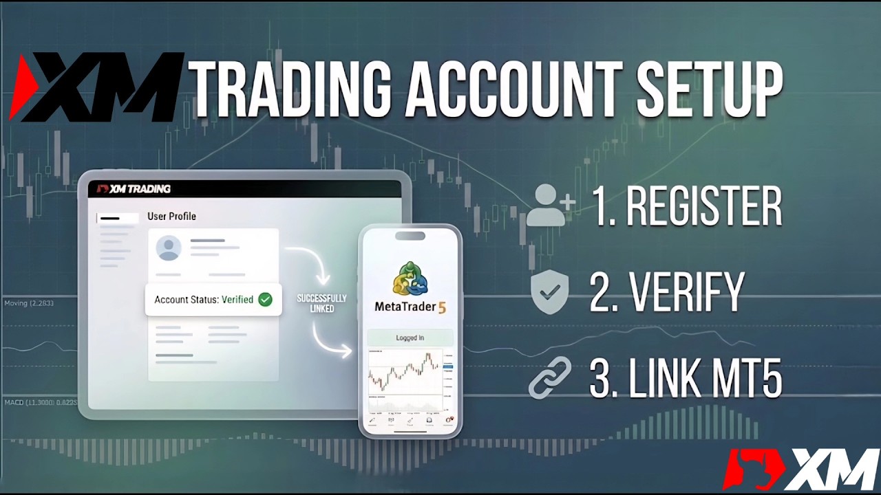 XM Trading How to Register Verify Account & Link to Meta Trader 5 Full Guide