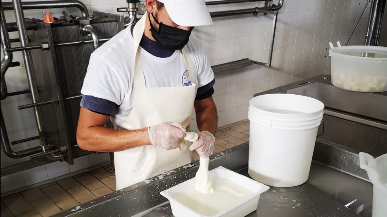 Come si fà la mozzarella ? Daniele Papa ci porta in un caseificio per condividere tutte le emozioni
