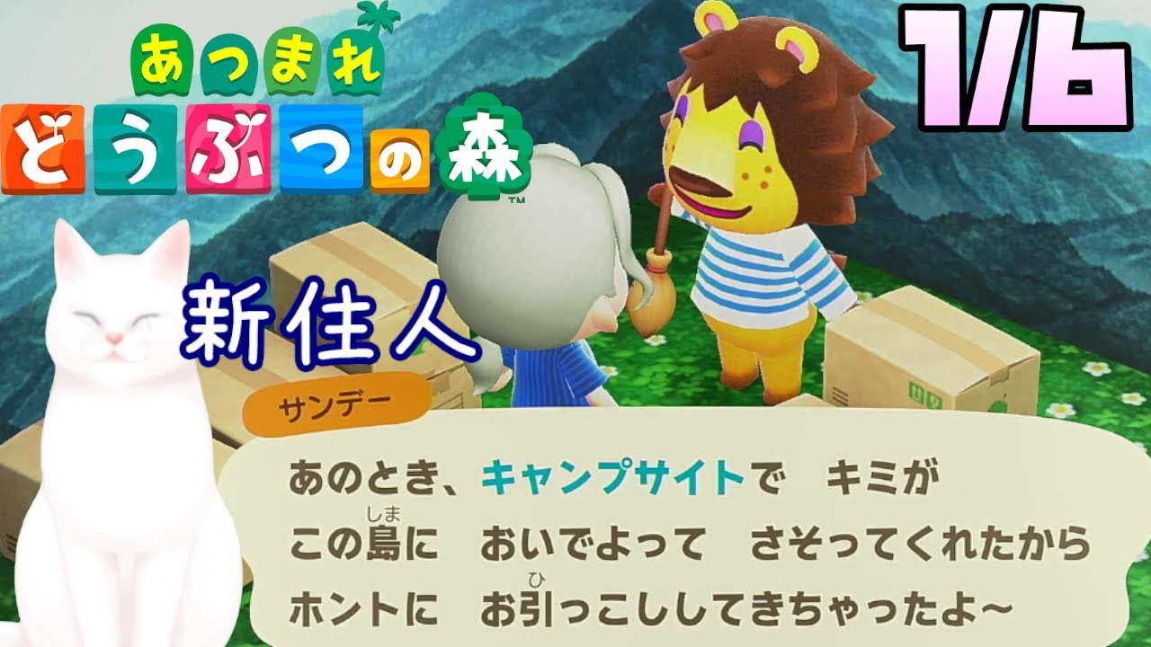 【新住人サンデー】ほしのかけら配布・住人のしゃしん交換可１枚までm(__)m　※時間操作あり、ネタバレ注意　#あつまれどうぶつの森　#ゲーム配信　　　#よろしくりょう　#荒らし