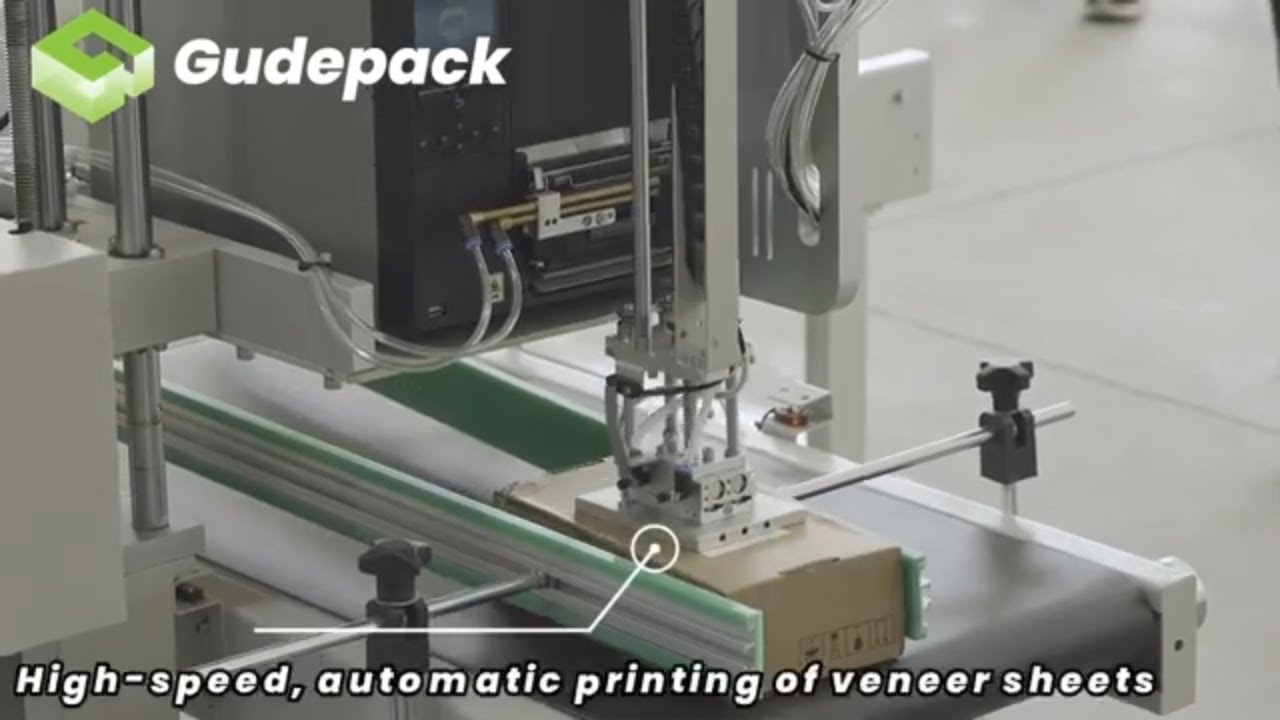 Print And Apply Label Machine / Printing And Labeling Machine