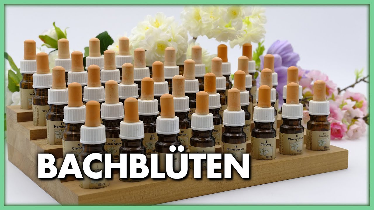 Bachbl&uuml;ten - Sanfte Therapieform um Selbstheilungskr&auml;fte zu aktivieren