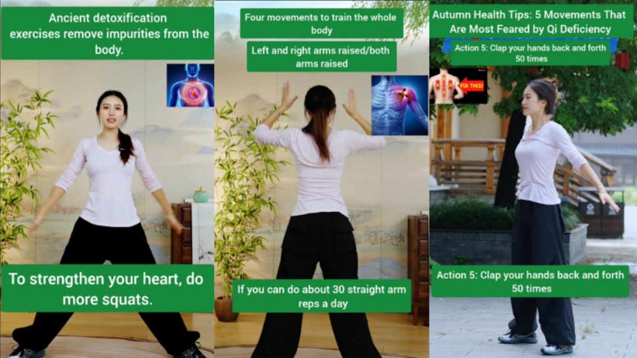 24 minutes a day || full body exercise #kungfu #qigong #shaolin #martialart 