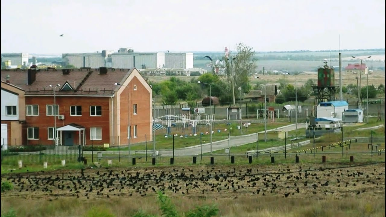 Город 1000 ворон 🐦 Морозовск