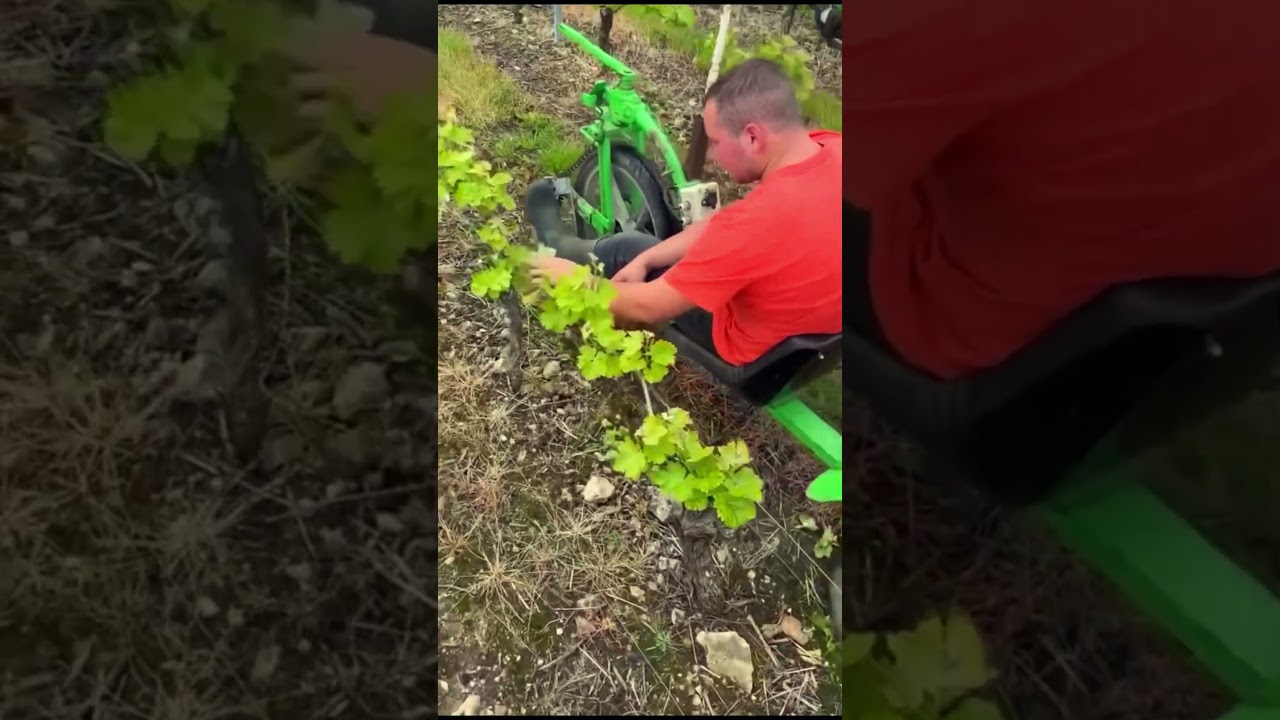 🌾 &ldquo;MODERN Agriculture Next Gen Farming Tech in Action! 🚜 #Shorts&rdquo;