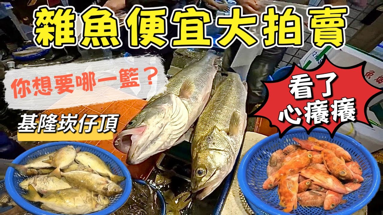 基隆崁仔頂～（看了心癢癢）你想要哪一籃？～雜魚便宜大拍賣～黑點仔、牛舌魚、嘉志、嘉納、石狗公、臭肚魚、鱸魚、白帶魚、油帶魚
