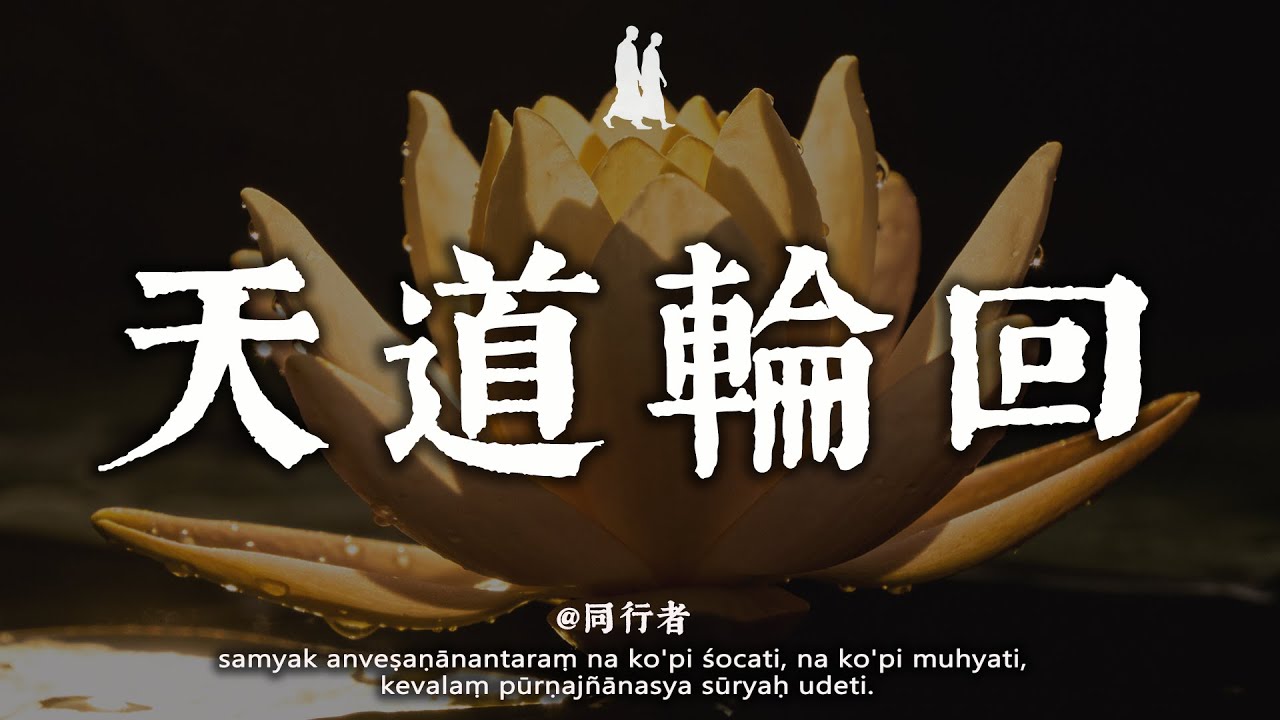 一切都是最好的安排，別爭、別怨、別急，老天自有定數 #因果 #順其自然#修行 #佛學 #人生感悟 #治癒 #禪悟人生#同行者