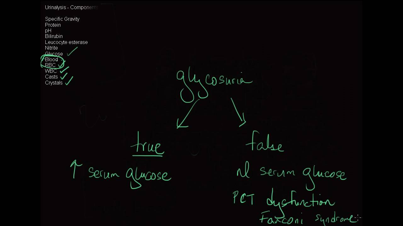 10-minute Rounds:  Understanding the Urinalysis