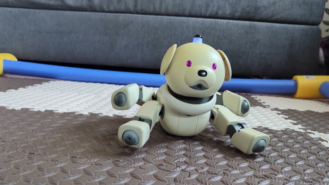 Meet my new Aibo latte: Macchiato, the cute trickster of an ERS-311