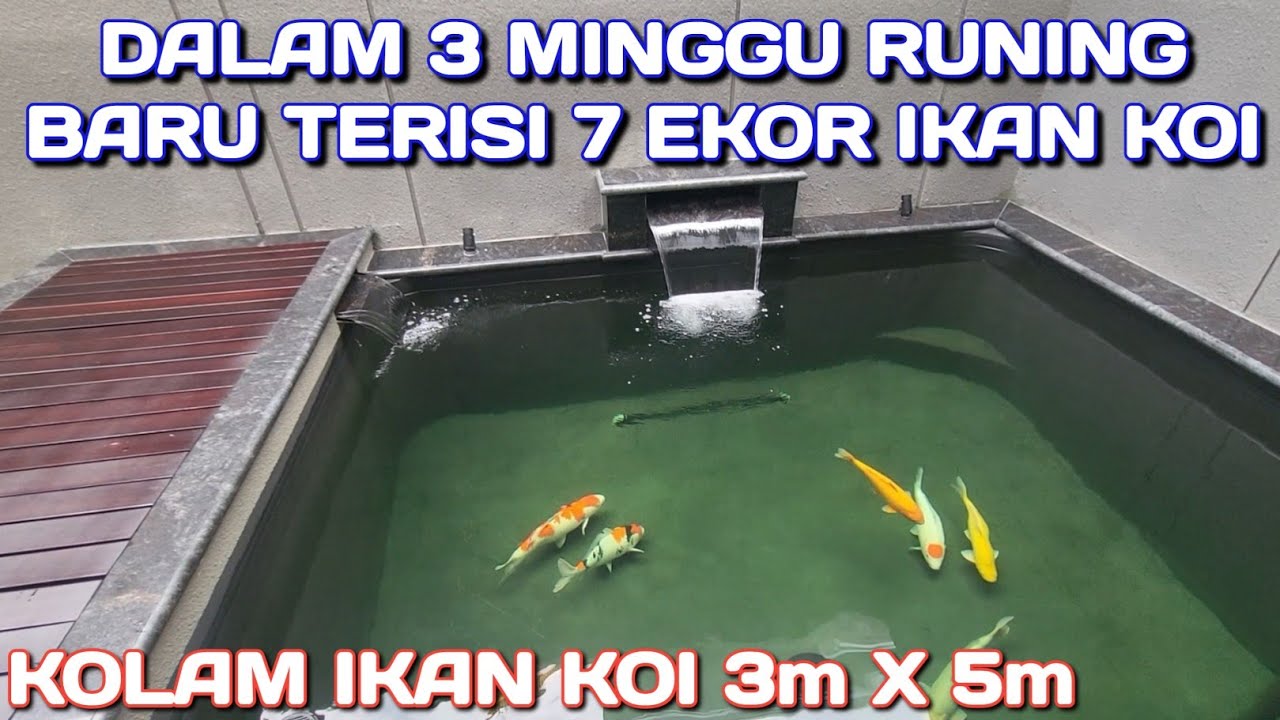 KOLAM IKAN KOI OUTDOOR 3m X 5m | Royal Regency Wiyung Surabaya